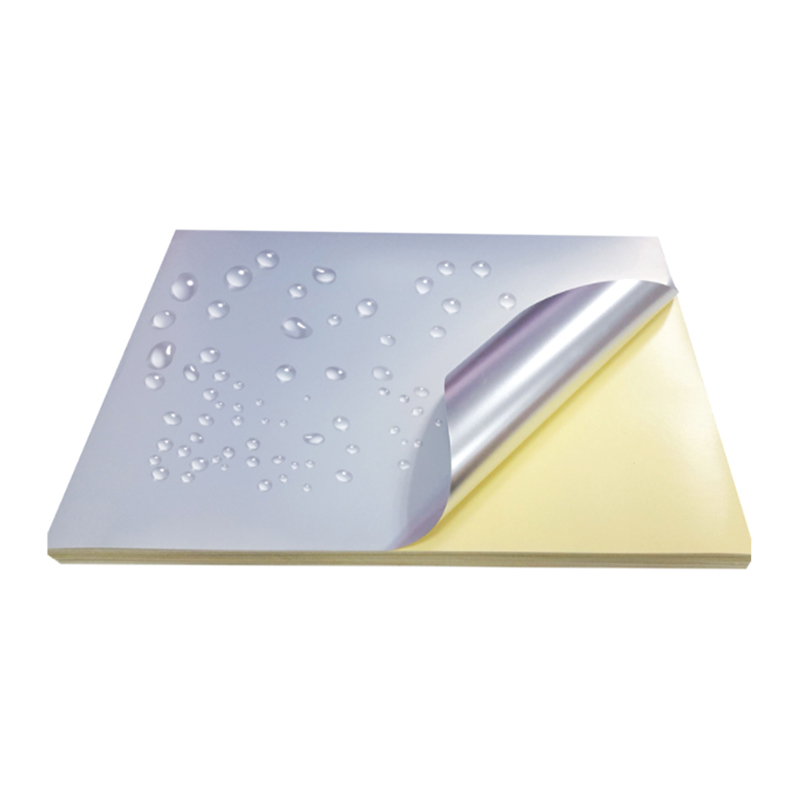 Filme Pet 50um Matt Silver com forro de silicone amarelo